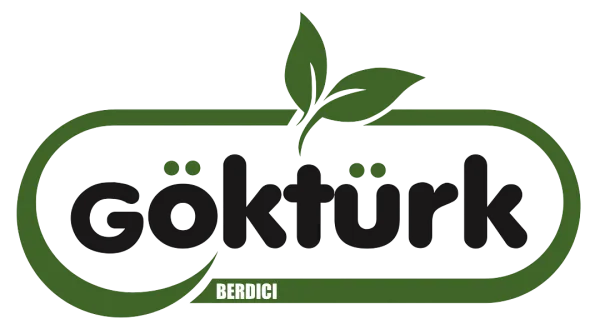 Göktürk