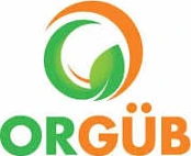 Orgüb